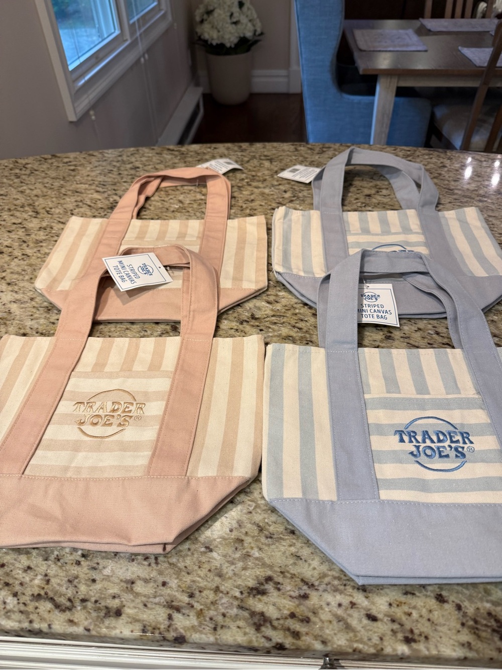 Trader Joe's Striped Canvas Tote Bag - Pink and Blue
